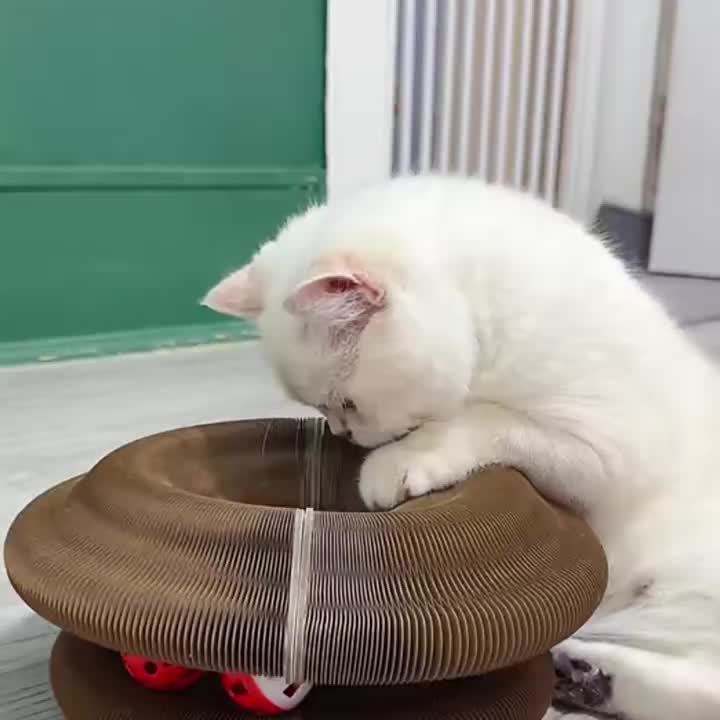 1 stuk magische kattenkrabplank, slijtvast interactief huisdier speelgoed voor binnen - ronde balbaan magisch orgaan kattenkrabplank | katenspeeltje | kartonnen krabplank